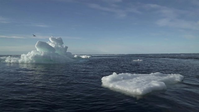 Rusiyanın Qərblə növbəti qarşıdurması resursla zəngin Arktikada olacaq - 