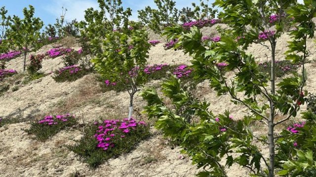Bakının ən yaşıl parkından FOTOREPORTAJ