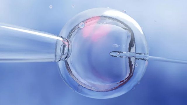 İngiltərədə ilk dəfə: Üç nəfərin DNT-sini daşıyan körpə doğuldu