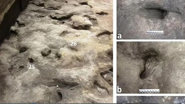 28 min il əvvəl nəsli kəsilmiş insan növünün izləri tapıldı - FOTO