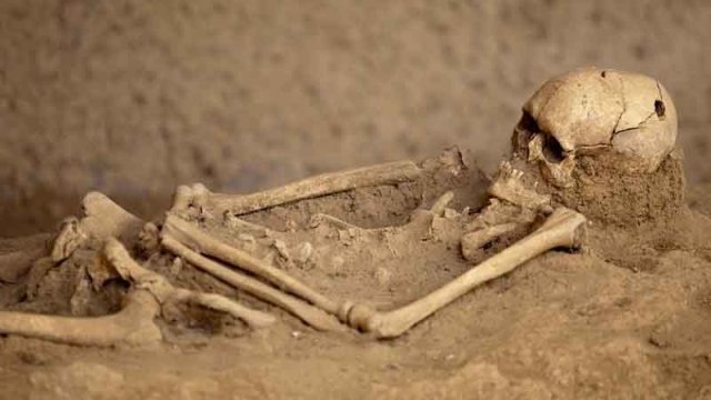 Aşağı Seyidəhmədlidən 2 şəxsə aid qalıqlar tapıldı