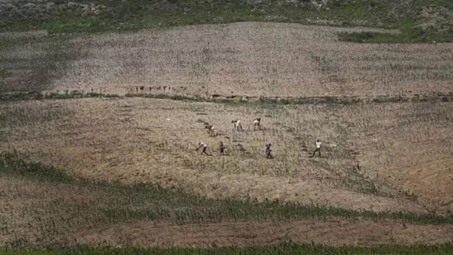 Şimali Koreyada aclıq fəlakəti: 