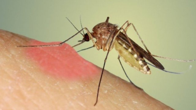 Yeni təhlükəli virus yayıldı xəbərdarlıq - 400-dən çox yoluxan var