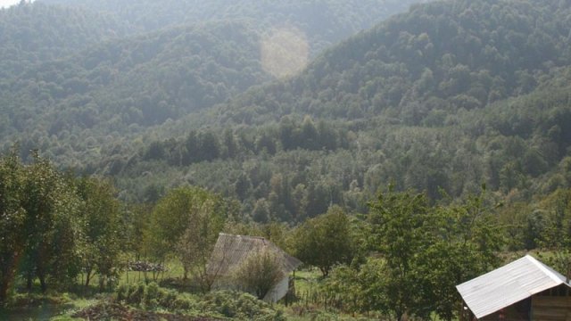 Lerikdə turist bədbəxt hadisə nəticəsində öldü