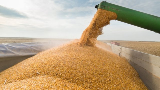 Türkiyə Prezidenti: 