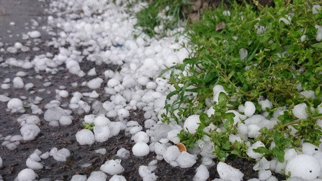 Şəkiyə güclü dolu düşdü - VİDEO