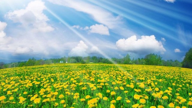 Sabah hava necə olacaq?