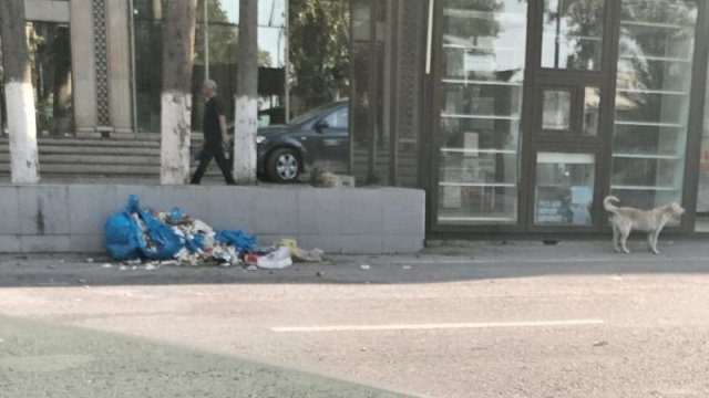 Göyçayda zibil qalmaqalı ilə bağlı şok mürcaiət