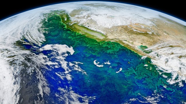 Putin Rusiyanın kosmos tədqiqatları ilə bağlı böyük planlarını açıqladı