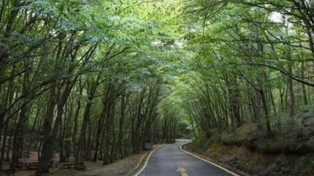 Zaqatalada itkin düşənlərin yeri müəyyənləşdi