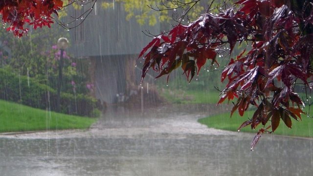Hava şəraiti dəyişəcək, leysan və dolu yağacaq - XƏBƏRDARLIQ