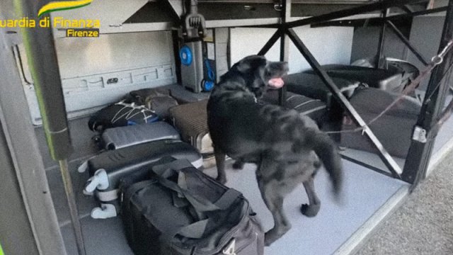 Polis itindən 1 milyon avro tapdı