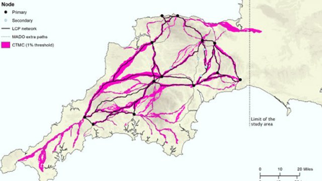 Britaniyada Roma dövrünə aid yol şəbəkəsinin mövcudluğu sübut edildi