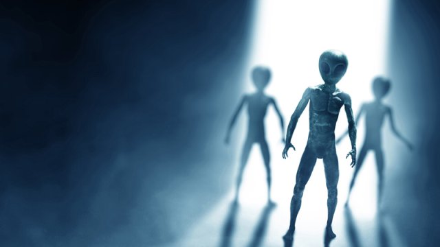 Peru sakinləri qəribə canlıların hücumuna görə hərbçilərdən kömək istədi