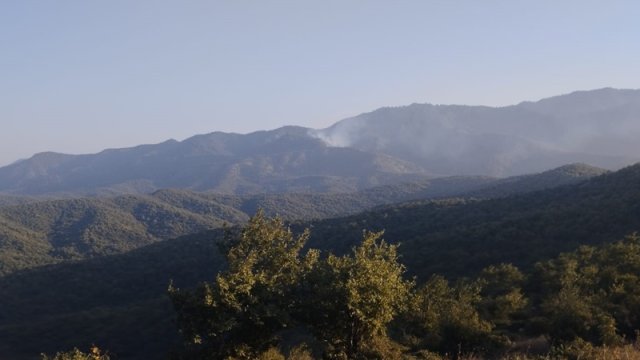 Cəlilabadda meşədə yanğın olub, hadisəni törədən şəxs müəyyən edilib