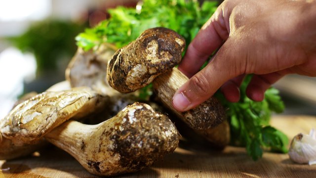 Dietoloq göbələk bişirməyin ən sağlam üsulunu açıqladı