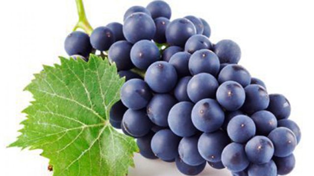 Sumqayıt Teatrı Laçına 