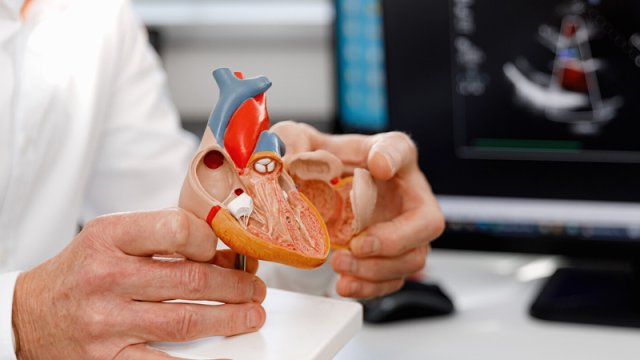 Süni intellektə ürək xəstəliklərinə diaqnoz qoymağı öyrətdilər