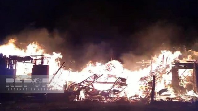 Hacıqabuldakı yanğında ölən ana və övladlarının fotosu