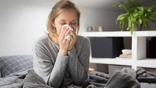 Azərbaycanda yeni virus yayılıb? - VİDEO