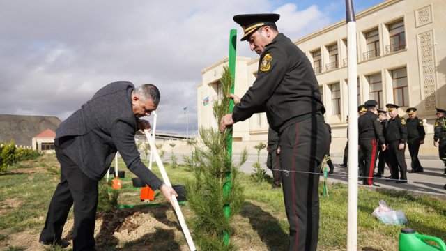 Dövlət Xidməti ağacəkmə aksiyası keçirdi - FOTO/VİDEO