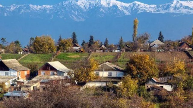 İvanovka kəndi bütün ölkəni ağartı məhsulları ilə təmin edə bilərmi?