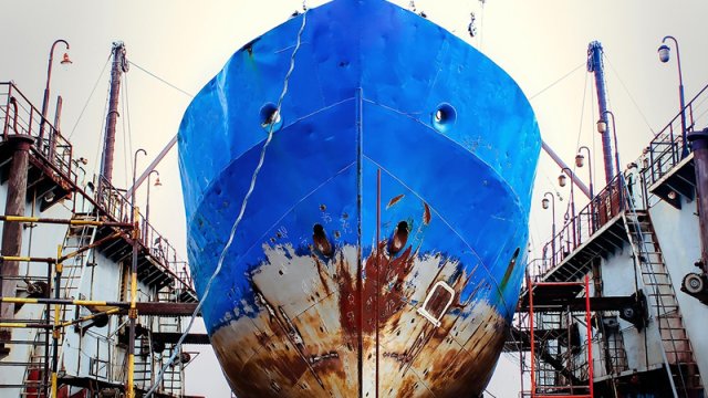 Azərbaycanda 1,8 milyona gəmi gəmi satılır