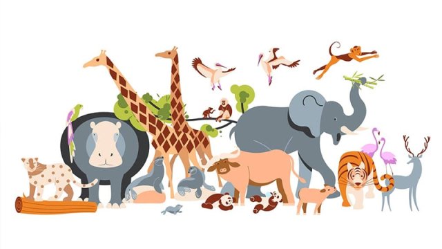 Heyvanlar aləmi haqqında bilmədiyiniz MƏLUMATLARxa0