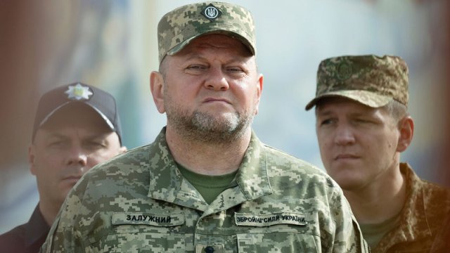 Zalujnı Zelenskinin hərbi komissarlarla bağlı qərarını tənqid etdi