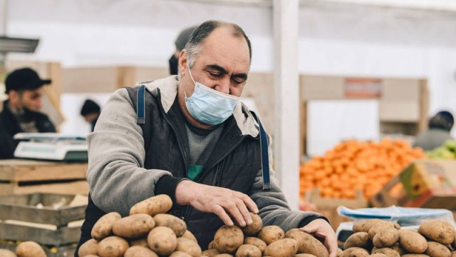 Azərbaycanı kartofla ən çox təmin edən rayonlar - SİYAHI