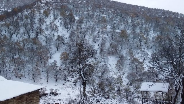 Bakıda 2, dağlarda 15 dərəcəyədək şaxta olacaq