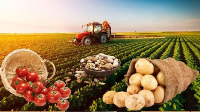 Fermerin birbaşa bazara çıxışına kimlər mane olur?