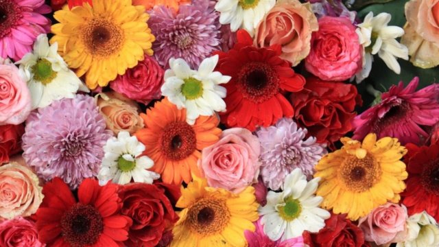 Çiçəklərlə bağlı bu məlumatları bilirdiniz?