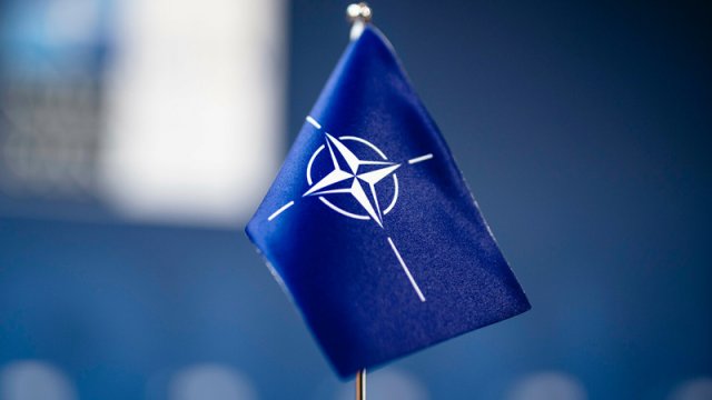 NATO Ukrayna münaqişəsinə görə dağıla bilər? - Keçmiş MKİ analitiki