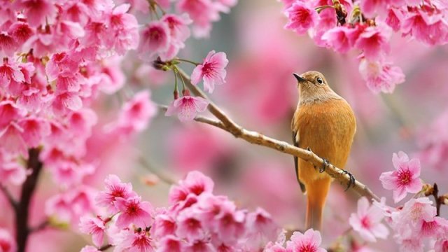 Mart ayının hava proqnozu açıqlandı