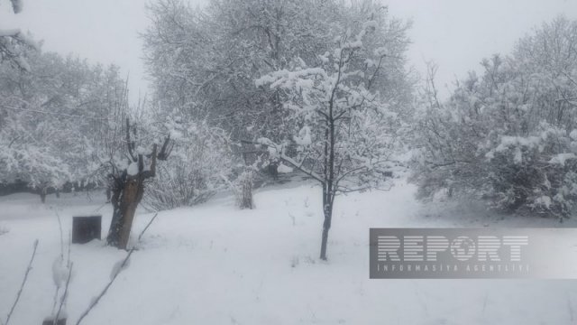 Naxçıvanın dağ kəndlərində qarın hündürlüyü 19-23 santimetrə çatır - FOTO