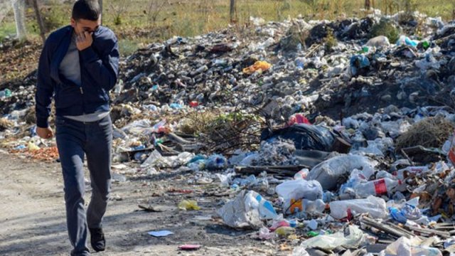 Yemək qalıqlarını atmayın - Botanikdən maraqlı fikir