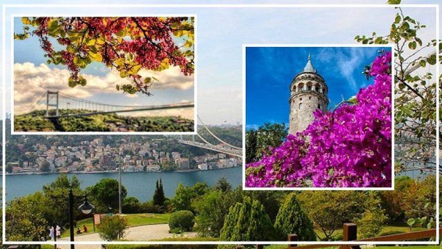 İstanbulda baharın rənglərindən zövq alın - FOTOLAR