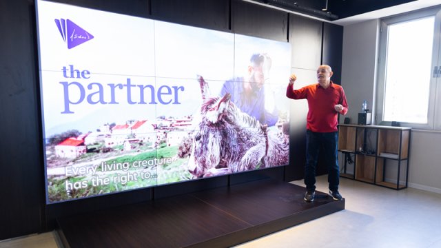 Prodüserlərin Yüksəlişi təlim proqramının Pitçinq mərhələsi keçirildi - FOTO