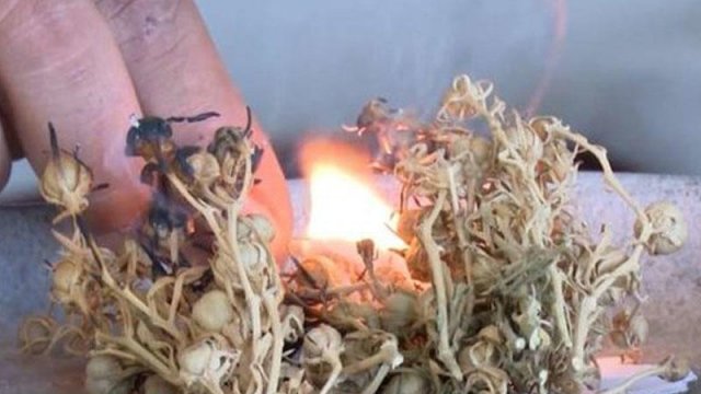 Üzərliksən havasan, min dərdə...