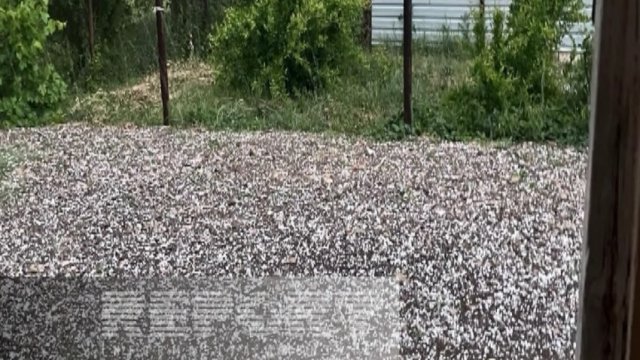 Goranboyun bir neçə kəndinə dolu yağdı
