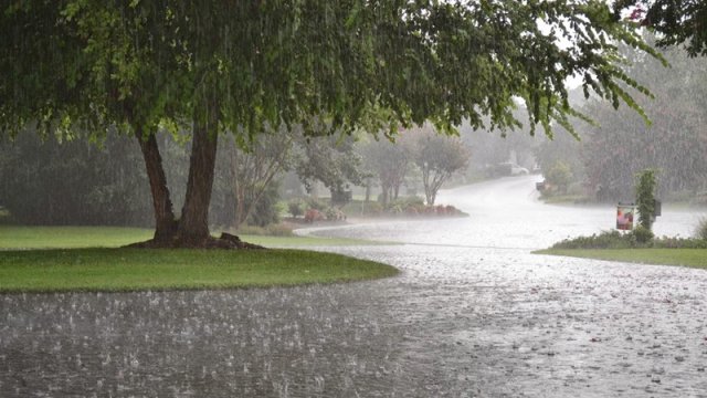 Yağıntılı hava nə vaxtadək davam edəcək?