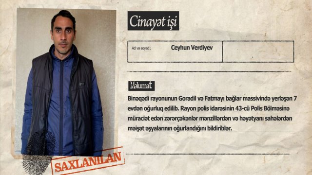 Bakıda usta işlədiyi evlərdən oğurluq edən şəxs saxlanıldı - VİDEO