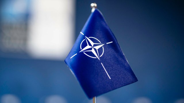 Macarıstanın hansı halda NATO üzvlüyünü dayandıracaq? - Ekspert