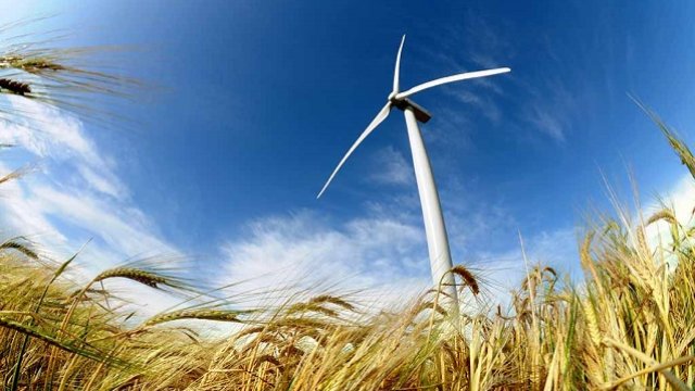 Küləkli hava şəraiti ilə bağlı - Sarı xəbərdarlıq