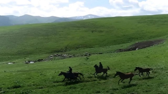 Yaylaq mövsümündə KƏLBƏCƏR: Gözoxşayan görüntülər - VİDEO