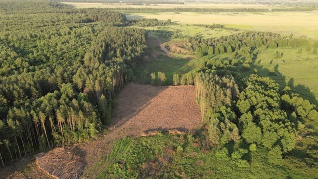 Alimlər Tunc dövründə sərgərdan metallurqların mövcudluğunu sübut etdi