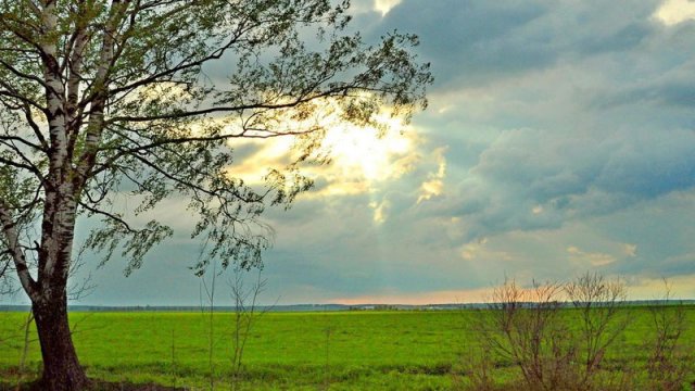 Sabah hava necə olacaq?