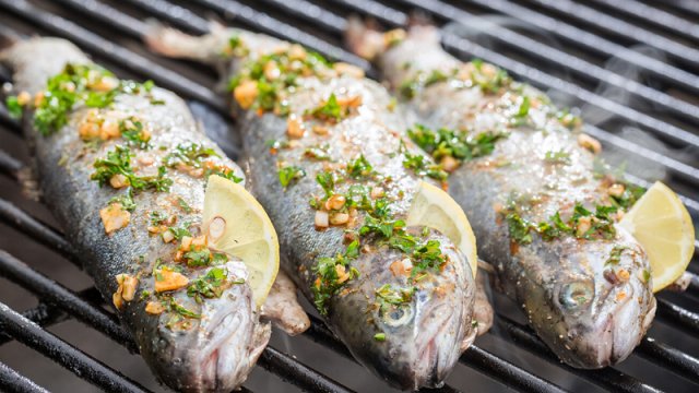 Hansı balıqların tərkibində daha çox civə var?