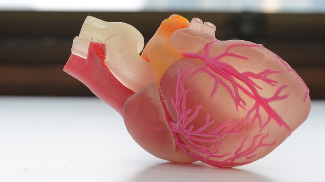 Ürək üçün ən sağlam məşq rejimi açıqlandı